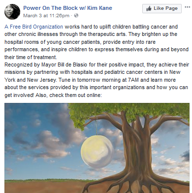 Kim Kane features A Free Bird Organization
